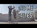 ENTRENAR un PERRO a que NO ME SALTE  - MartGon