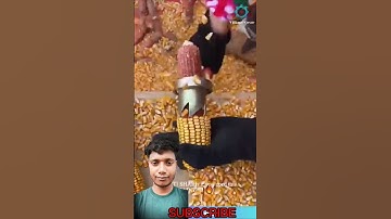 INSANE Gadget STRIPS Corn CLEAN in seconds! 🤯 You NEED  This! #corn #gadgets #satisfying #bhoot