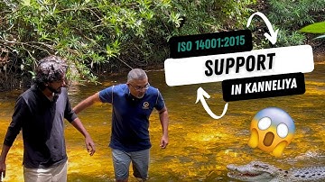 This ISO 14001 Video Got WILD — Literally 🐊 | Support