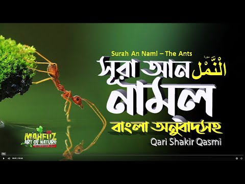 027) সূরা নমল -Surah An-Naml | অনুবাদ سورة النمل পিপীলিকা | Qari Shakir Qasmi | mahfuz art of nature