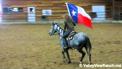 Fancy Little Slick      ***For info, price, etc., go to our website***  Valley View Ranch