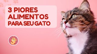 Três dos piores alimentos que muitos donos continuam oferecendo a seus gatos by Fatos Curiosos dos Felinos  36 views 1 year ago 2 minutes, 43 seconds