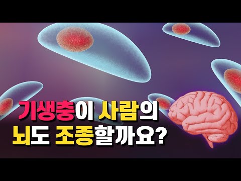 사람을 조종하는 기생충, 이미 인구의 30%가 감염됐다