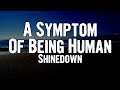 Shinedown  a symptom of being human lyrics