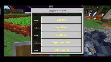 Cubecraft bug report