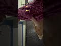 Studyvlog #nasheed#love #deen#cleaning #room#studyy#revison