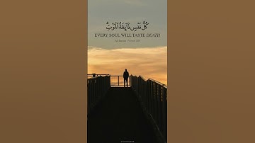 15 ثانية فقط لا تتجهلها.......... #عبدالرحمن_مسعد_تلاوة_جديدة #عبدالرحمن_مسعد