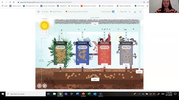 Grade 7: Matter and Energy in Ecosystems, Lesson 2 (Part 4 of 5)