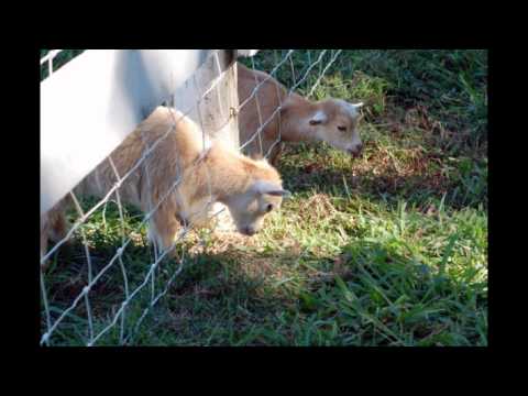 Huber's Orchard | September 5, 2010