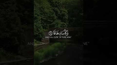 القارئ سالم الرويلي - سورة النبأ | مقاطع قرآن قصيرة وحالات واتس إسلامية 🌱