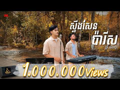 សូរ សាវឿន - ស្ទឹងសែនប៉ារីស (Cover By Try Menghour).