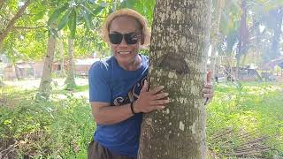 Download Lagu PATAY TA KAP😄😡😁 MP3