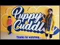 “Puppy Cuddles Dog Cafe" Mumbai.. YouTubeshort#doglover#puppy#