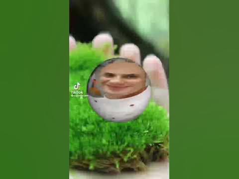 лысый глобус - YouTube