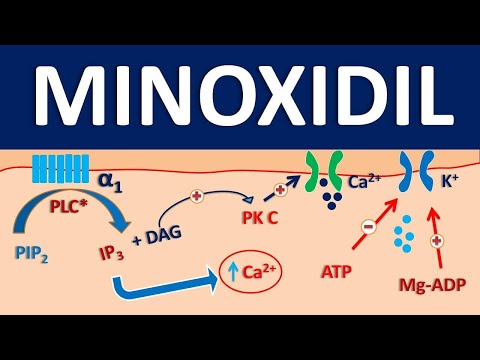 Video: The Drug Minoxidil For Baldness: Instructions For Use