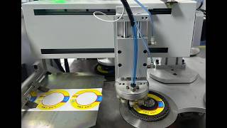 Coated abrasive conversion ---Flap Disc Production Line Label Pasting and Shrink Packing Machine