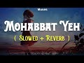 Mohabbat Yeh [Slowed + Reverb] | Bilal Saeed | Ishqedarriyaan | Hindi Lofi Songs |  Muses