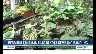 Berburu Tanaman Hias Di Kota Kembang Bandung Youtube