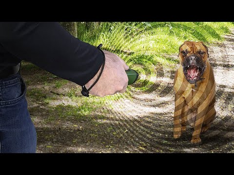 Обзор ультразвукового отпугивателя собак HOONT- США
