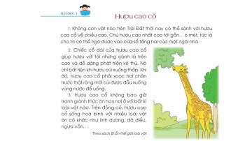 Bài 26   Chia sẻ và đọc   Hươu cao cổ 1