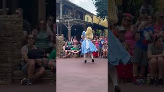 Alice from wonderland In the festival of fantasy parade #disney #disneyland #disneyworld #travel