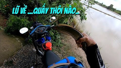 Câu cá lóc mùa lũ (P14).Khi N2 tháo chốt.Thợ săn cá lóc.