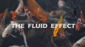 Fluid Mosh Example in Datamosher Pro