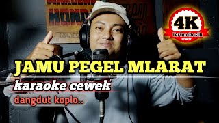 Jamu pegel mlarat - karaoke tanpa vokal cewek dangdut koplo