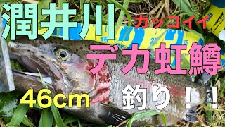 潤井川デカニジマス釣り！！#潤井川ダービ−2019