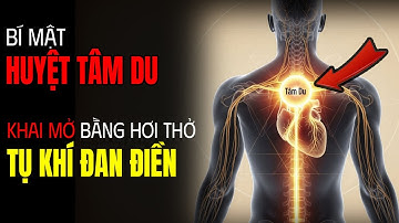 Bí Mật Huyệt Tâm Du – Cách Kích Hoạt Trái Tim Khỏe Mạnh Nhờ “Thở Tụ Khí Đan Điền”!| Tuổi Già 100 năm