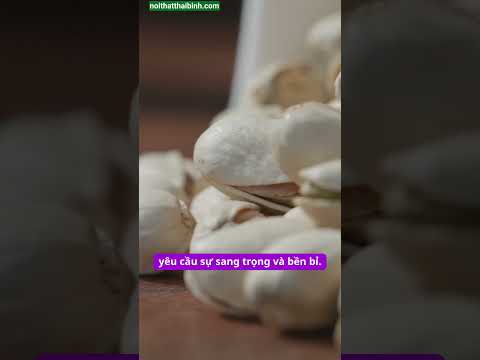 Gỗ Dổi Là Gì? Tìm Hiểu Đặc Điểm, Ứng Dụng Và Giá Trị Của Gỗ Dổi