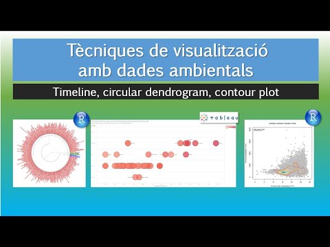 Vídeo: On s'utilitza la visualització de dades?