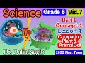 ساينس سادسة ابتدائي ترم اول 2025 Science Grade 6 Comparing Plant Animal Cell Concept1 Lesson 4 ساينس سادسة ابتدائي ترم اول 2025 Science Grade 6 Comparing Plant Animal Cell Concept1 Lesson 4