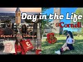 DAY IN THE LIFE OF A CORNELL STUDENT (freshman spring!)
