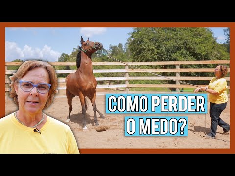 Vídeo: Como Lidar Com Um Cavalo Que Tem O Hábito De Chutar?