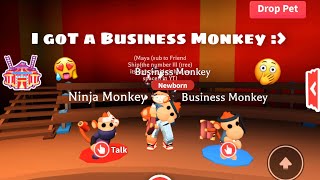 *NEW* Monkey Fairground Update! I Got A Business Monkey | Friend Ship3