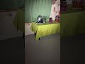 なんだここ #心霊 #心霊配信
