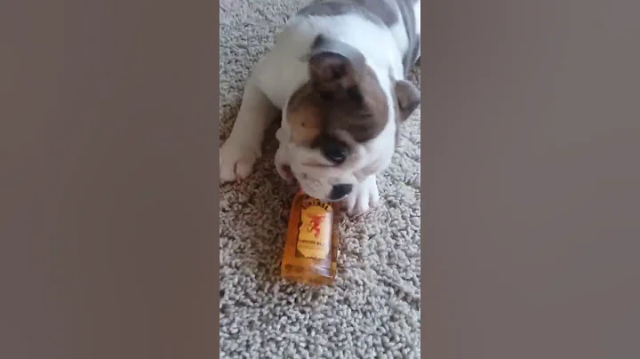 Chanel got my fireball.