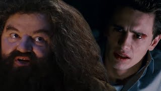 Youre A Goblin, Harry