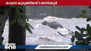 ആർത്തിരമ്പി വന്ന മലവെള്ളപ്പാച്ചിലിൽ 6 മണിക്കൂർ..., പിന്നെ കാട്ടിലേക്ക് |river | Elephant