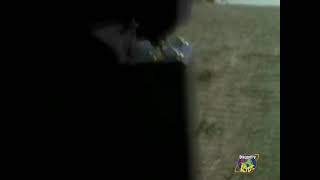 Goosebumps Discovery Kids