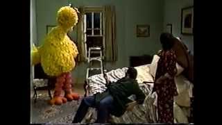 Sesame Street - Big Bird Causes Accidents