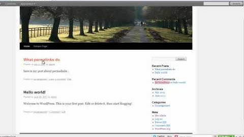 SEO Wordpress Setup - Permalink & Ping List | Chris Rutz