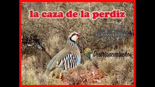 LA CAZA DE LA PERDIZ