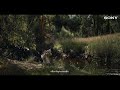 Created for α - Sony's Alpha Lenses | Capturing Wildlife as they are Meant to Be