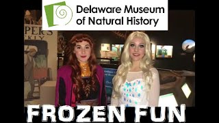 Frozen Fun at the Delaware Museum of Natural History