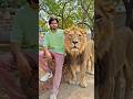 sath mein Sher🦁🥷 #lifeisbutadream #beamngdrive #comedy #funny #beamngdrive #whowillbemylifepartner