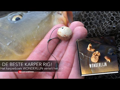 Youtube-Video