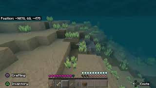 Minecraft Survival w/Mermaid screenshot 3