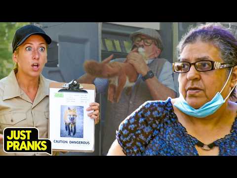 The Most INSANE Invisible Pigeon Prank You'll Ever Witness!